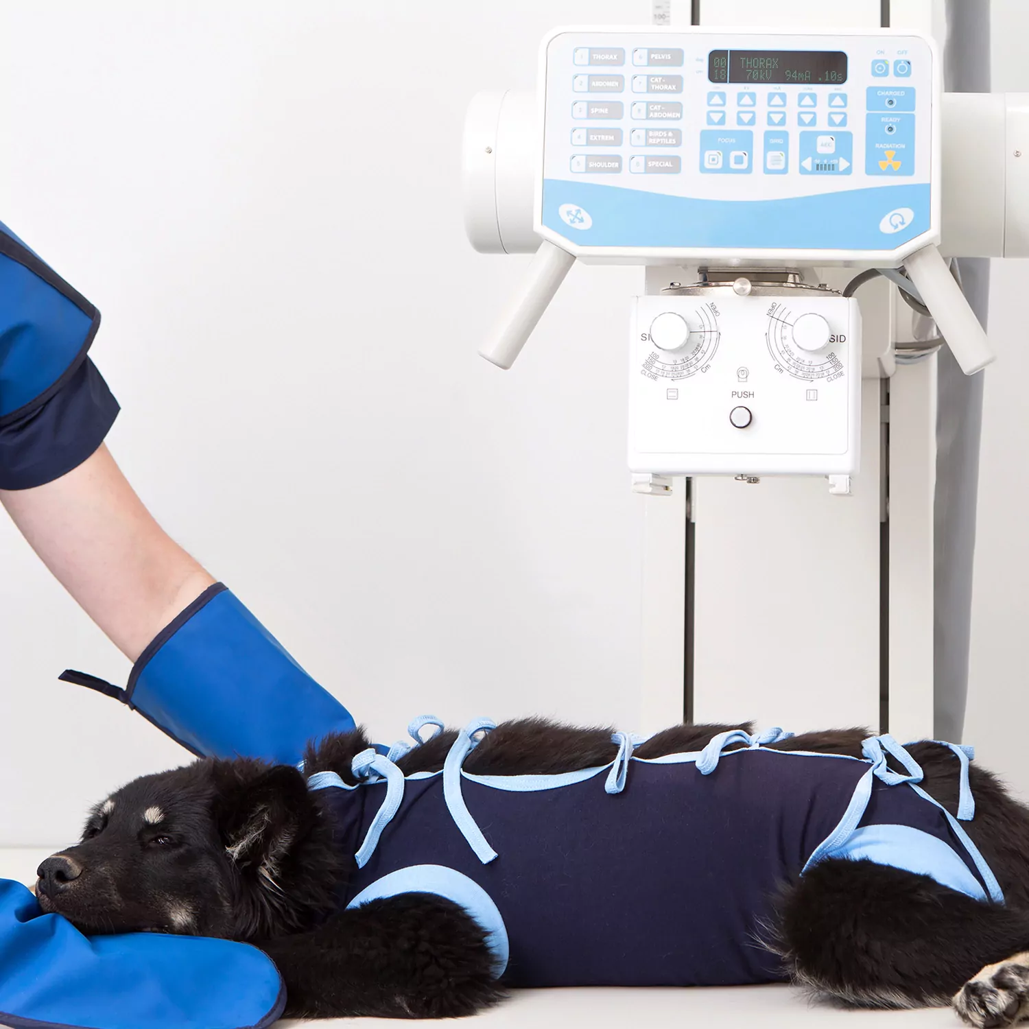 Tıbbi Görüntüleme (Röntgen, Ultrason)